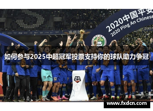 如何参与2025中超冠军投票支持你的球队助力争冠